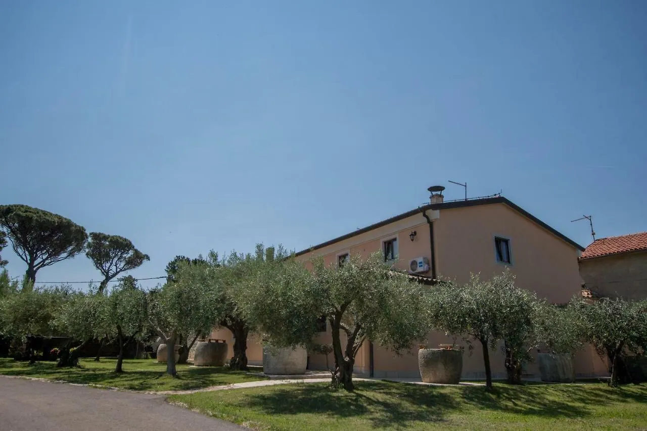 Guest House Maslina